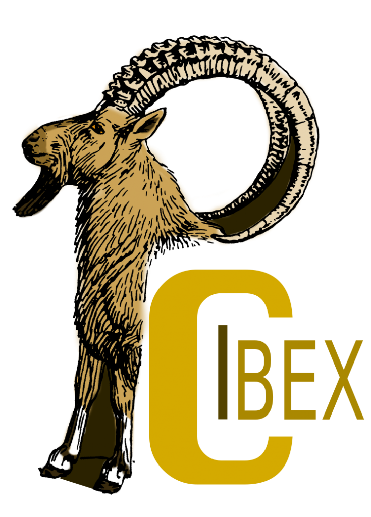 PCIbex Logo